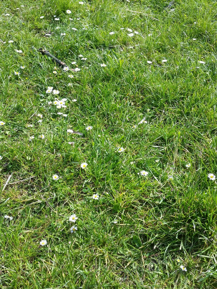 wee