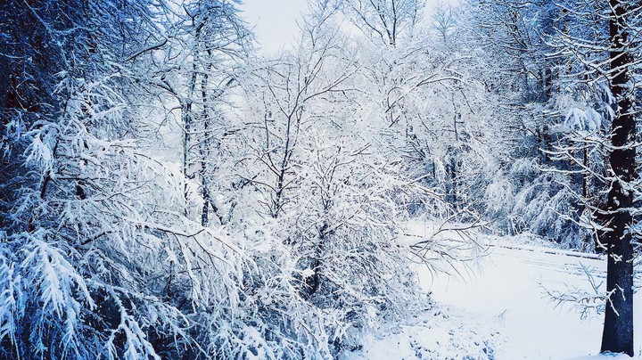Winter Whiteout