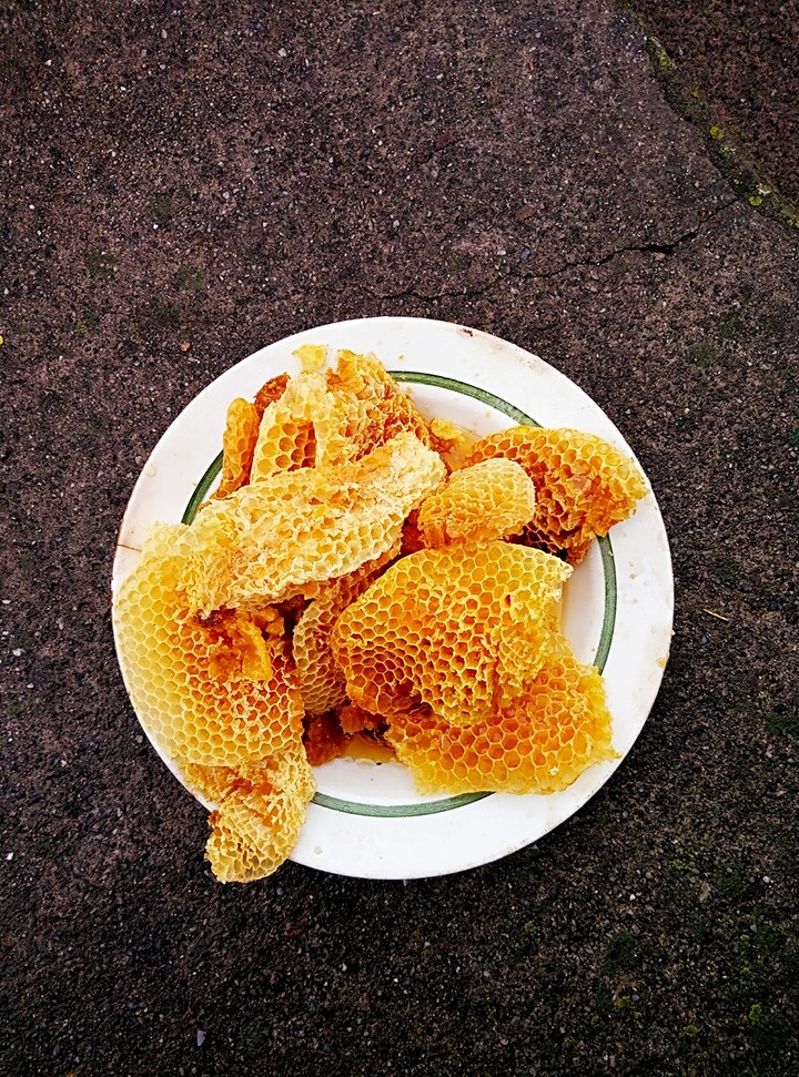 honey