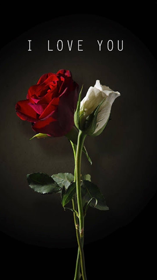 #fleur