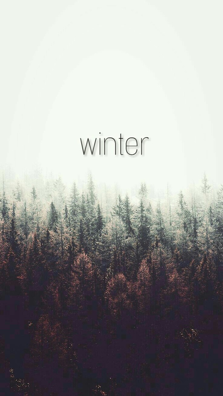 Winter❄