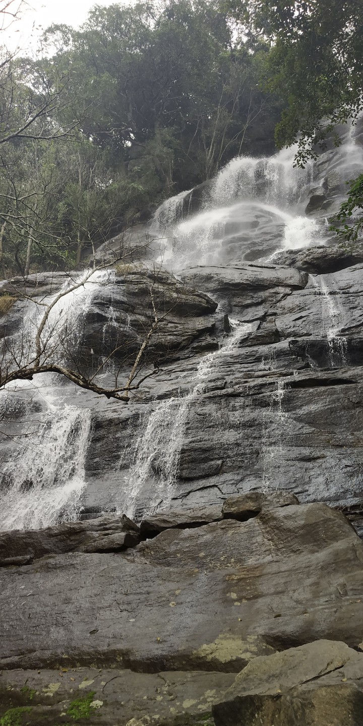 nature