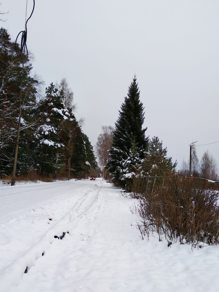 погода