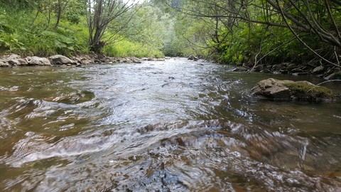 Stream