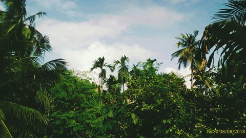 After rain