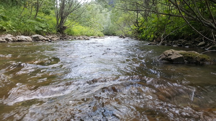Stream