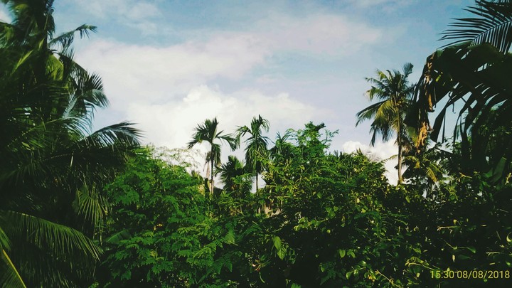 After rain