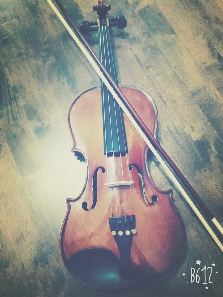 The Violin