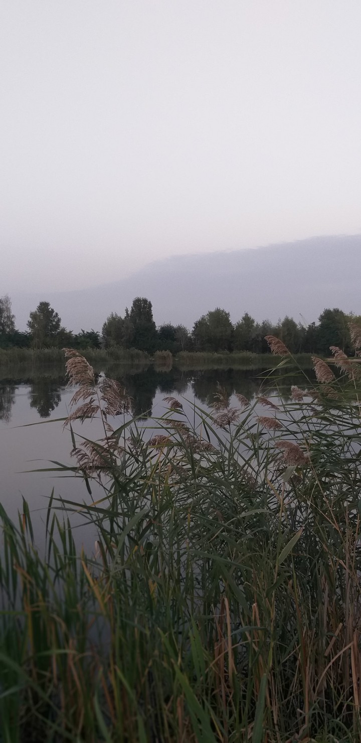 a lake
