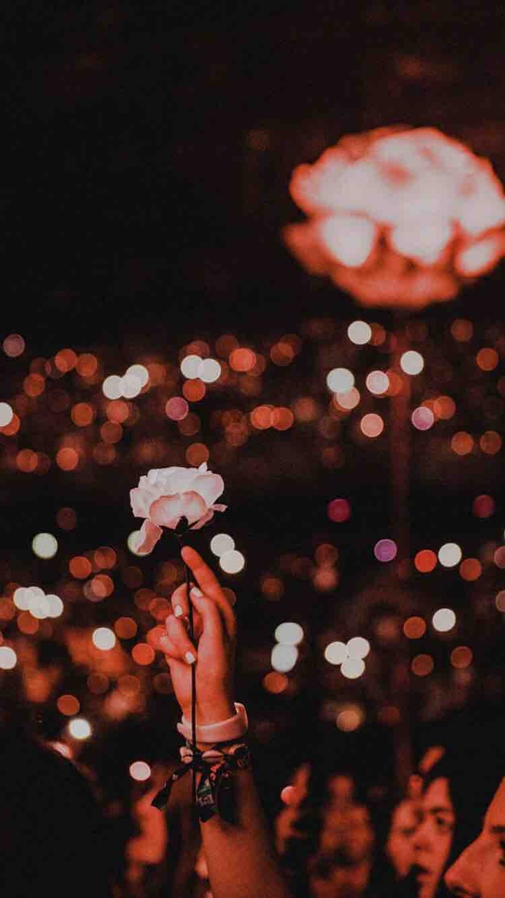 @shawn mendes concert