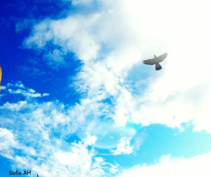 Blue Sky