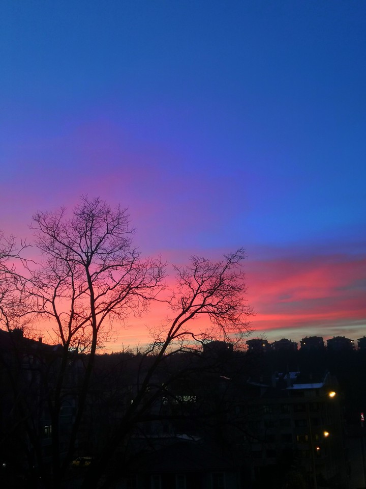 Sunset with tree
