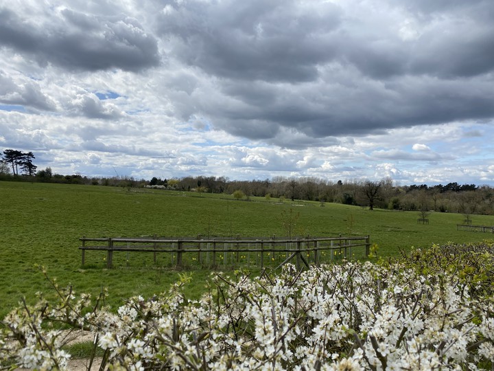 farm