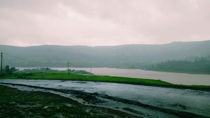 nature love