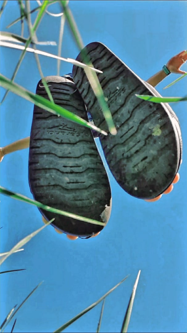 fly
