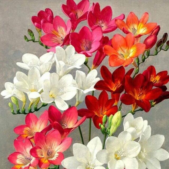 flowers