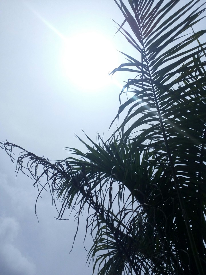 Raios do sol