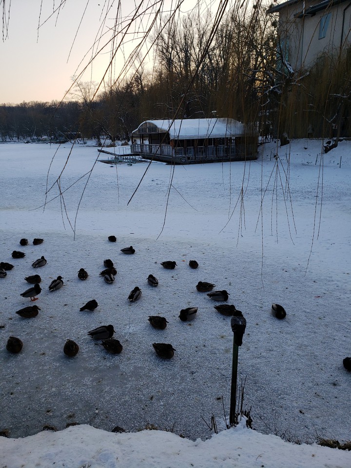 Ukraine winter