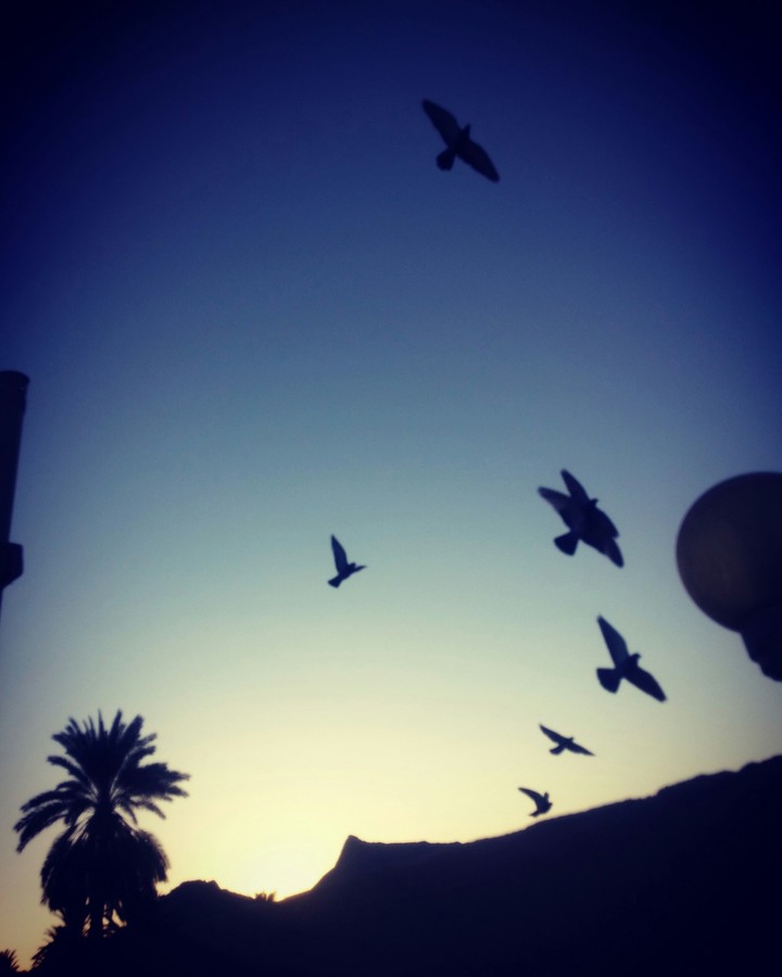 Morning