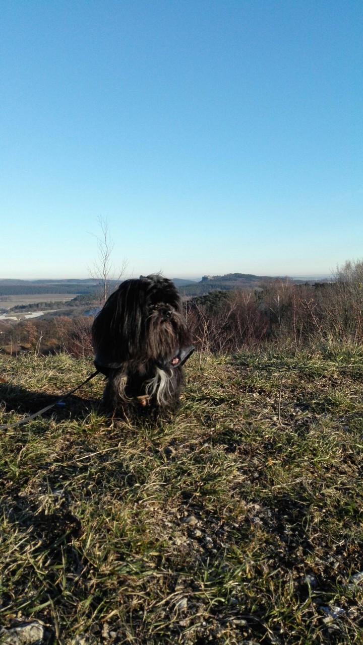 Basti auf dem Ziegenberg