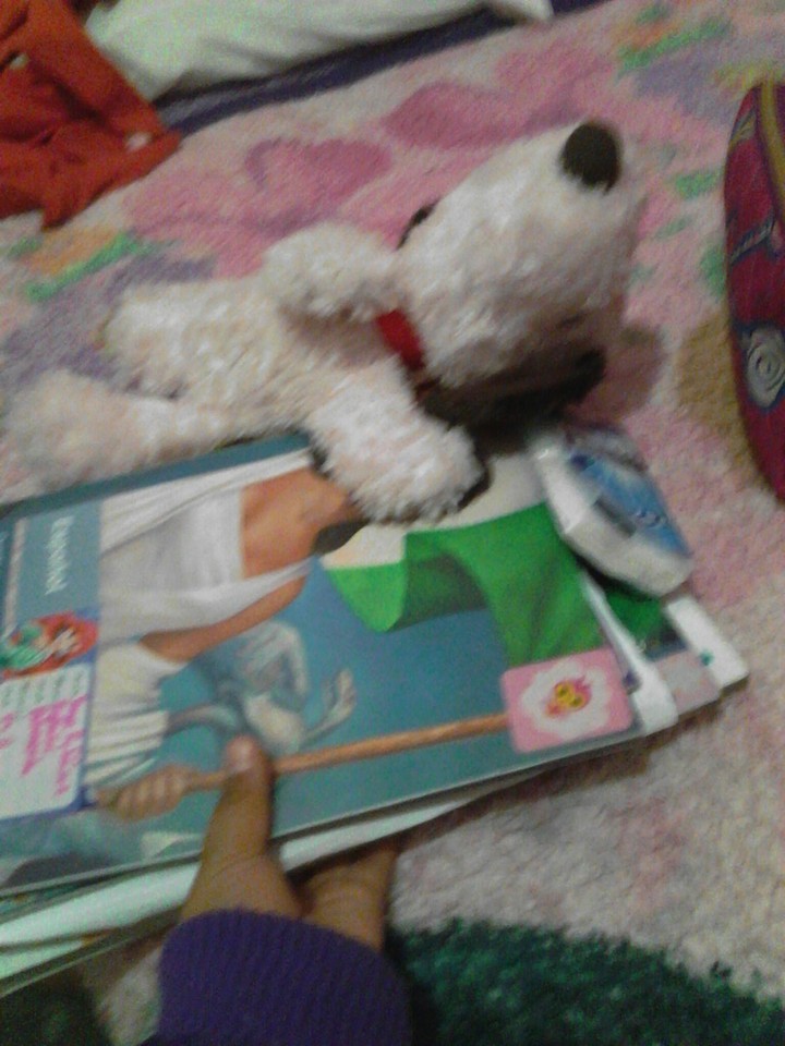 Snoopy! You are slleping in my books!