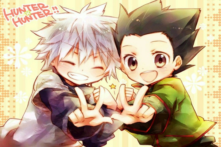 hunter x hunter