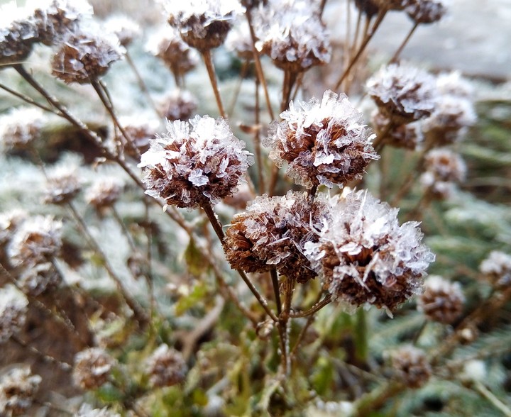snow