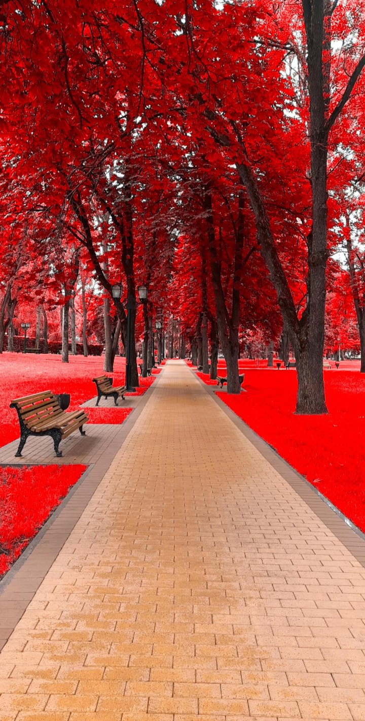 Fall