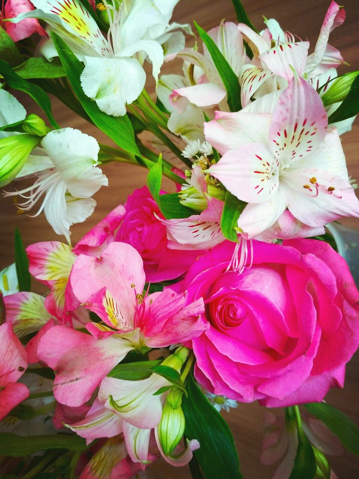 Flower