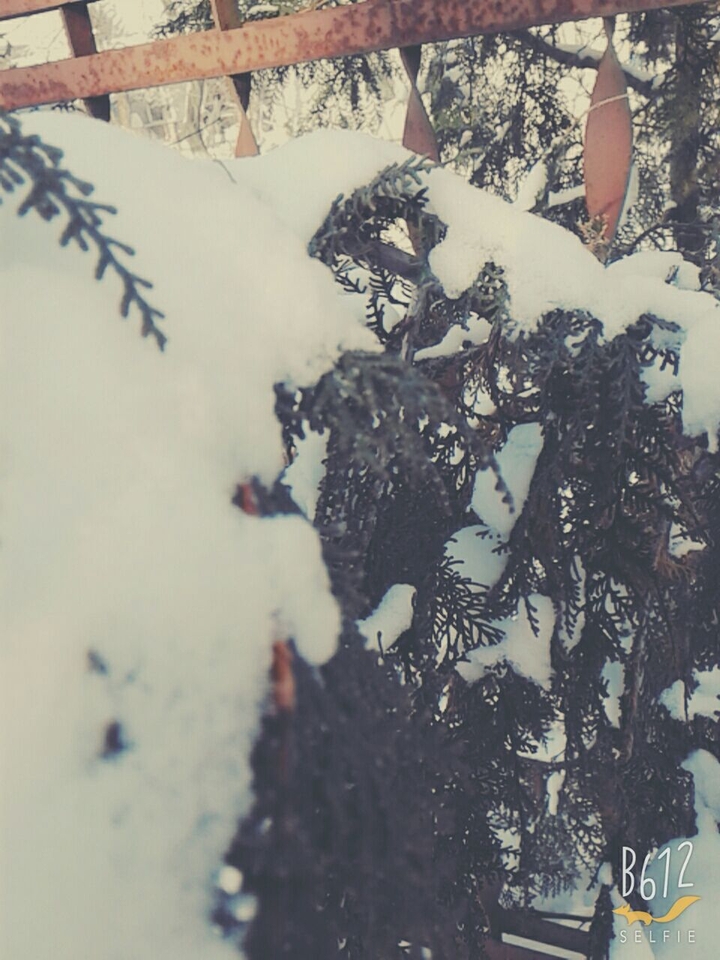 и