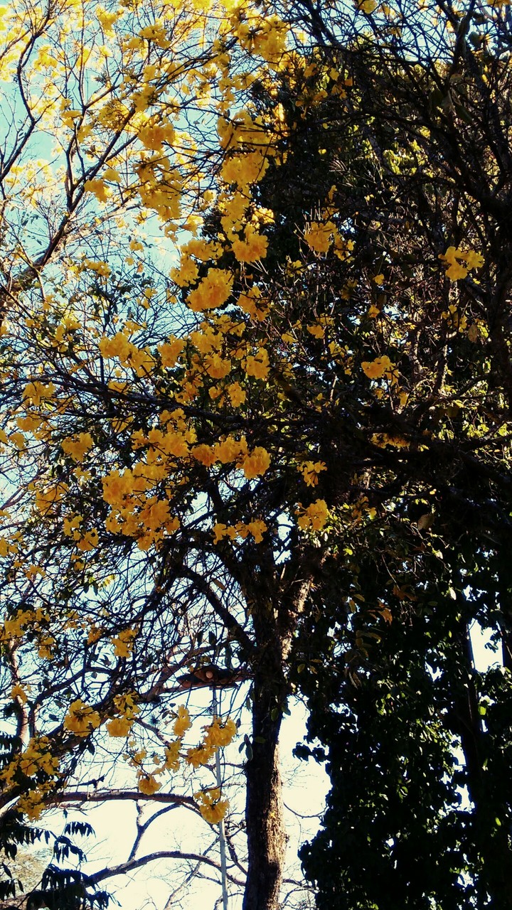 Three