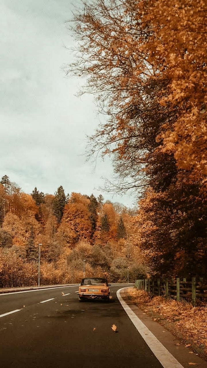 Autumn
