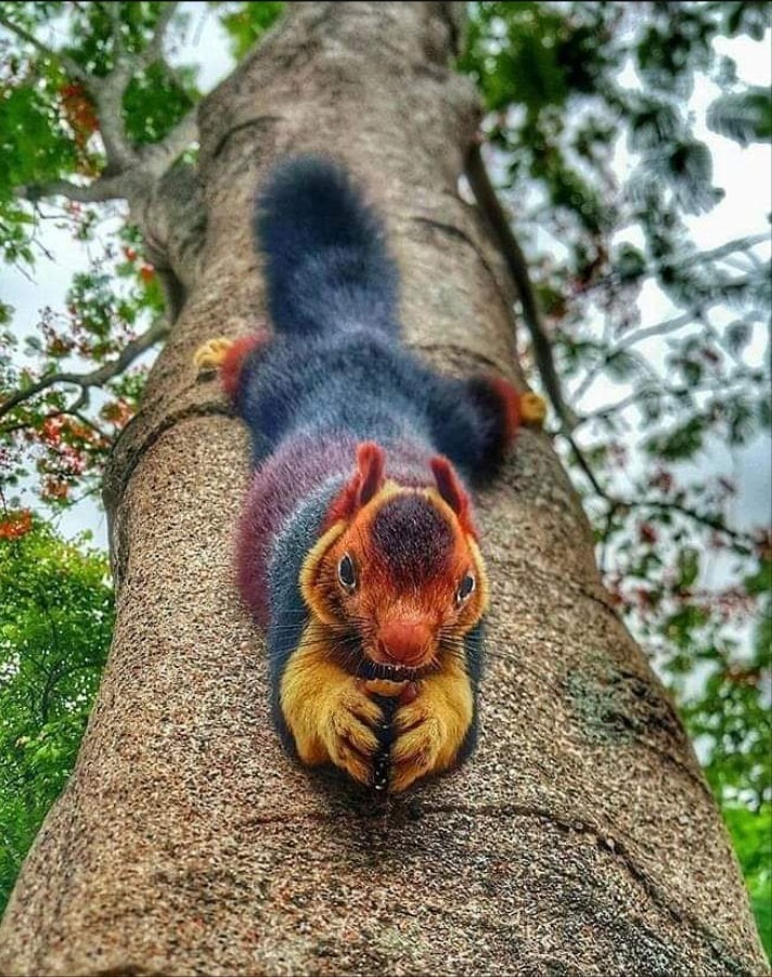 aaaa