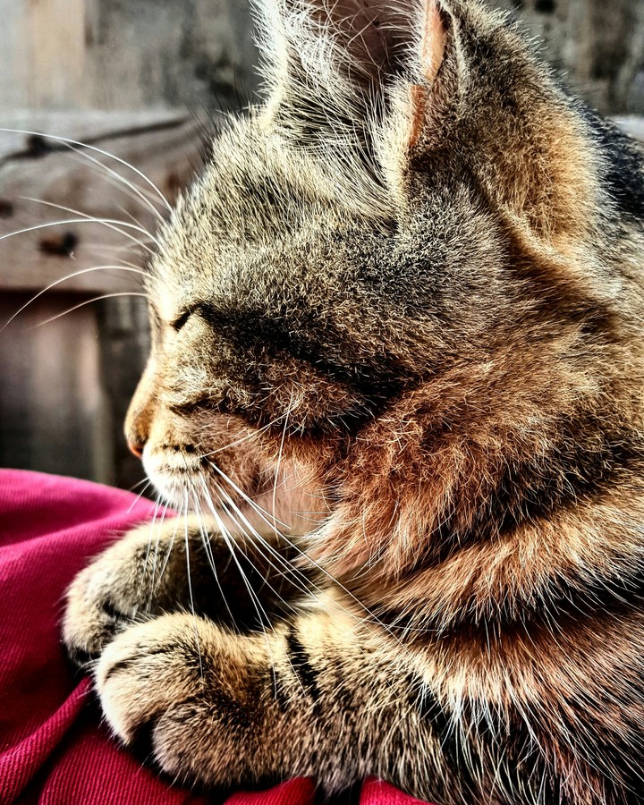 Asleep..