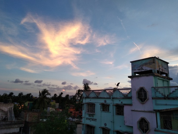 emarging splendour