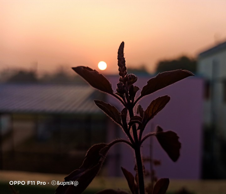 sunrise