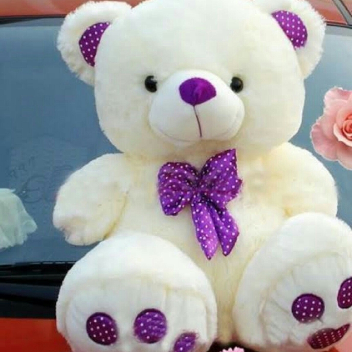 Cutie bears!