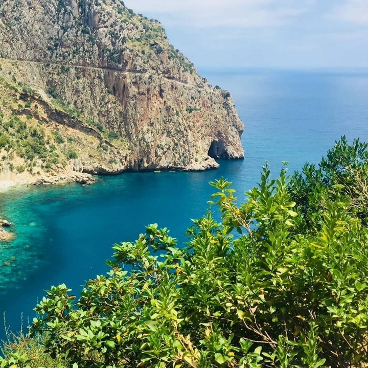 algeria