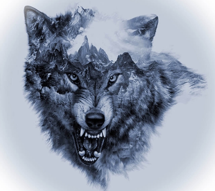 no fear