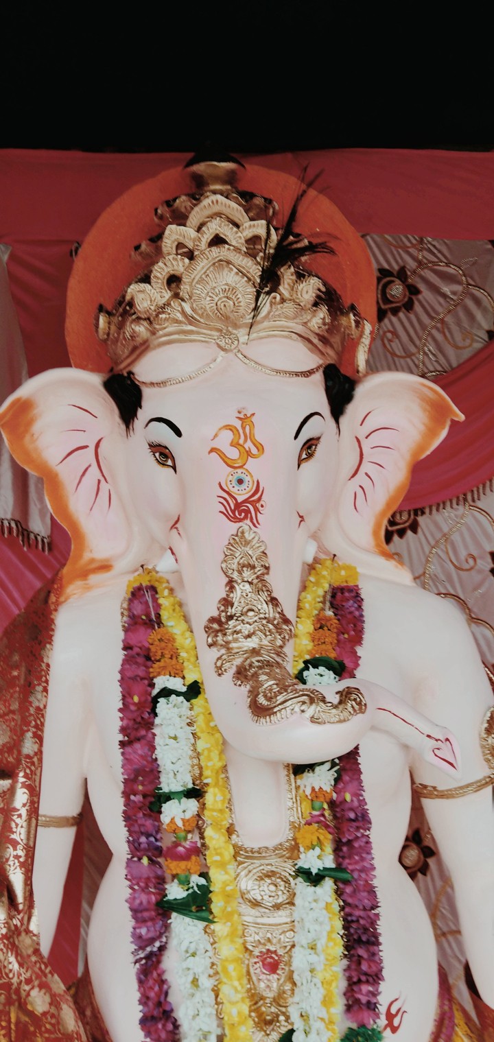 अर्पित