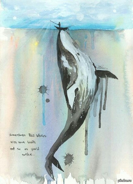 whale