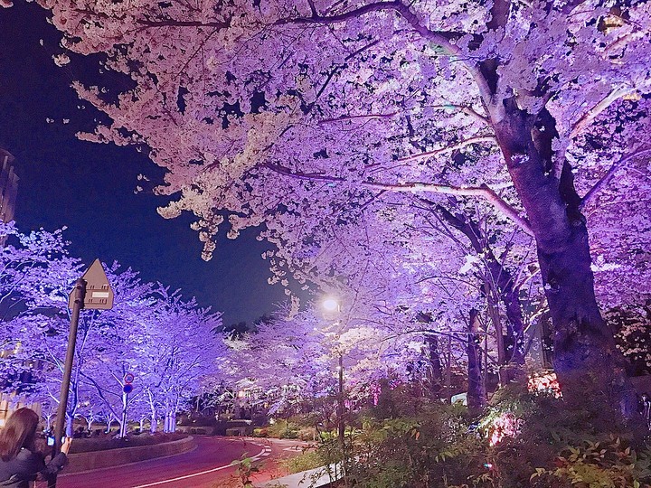nightview❤Tokyo