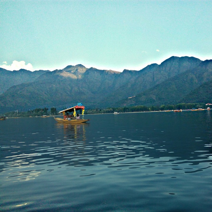 perfect shot.!