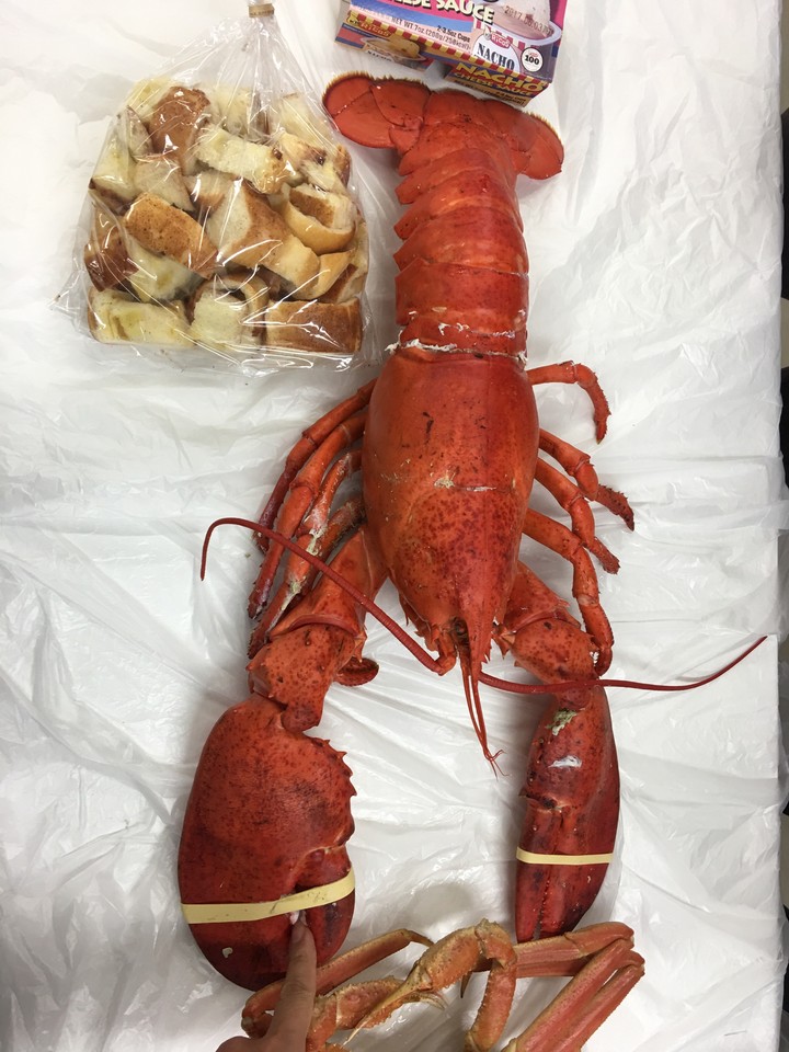킹크랩