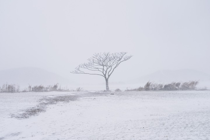 winter