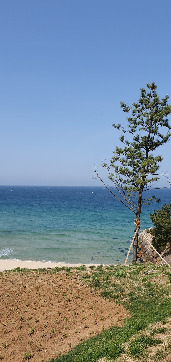 동해바다 삼척