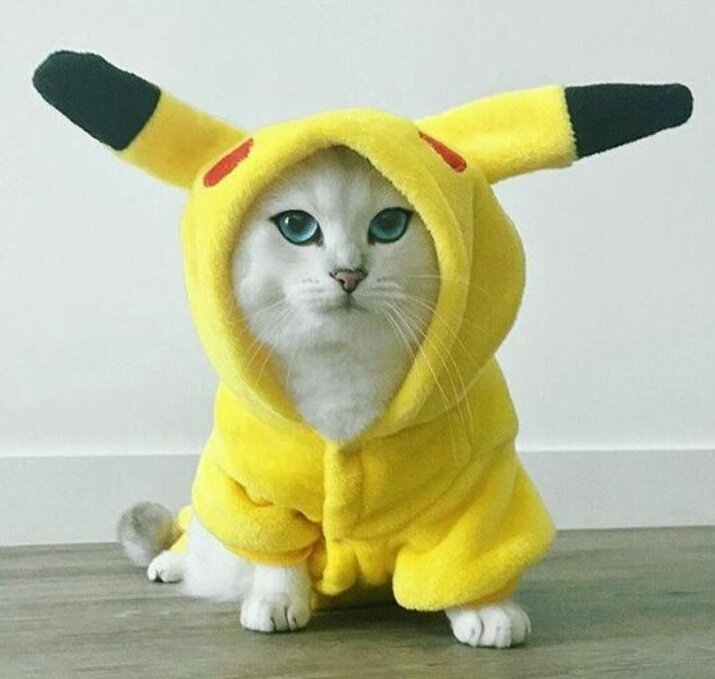 pika