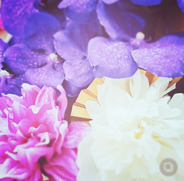正月/flowers