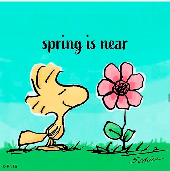 Snoopy