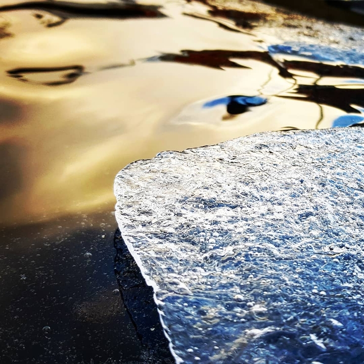 Gold n' Ice